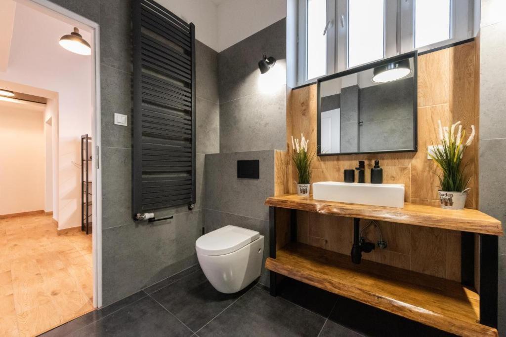 Apartament Loft Apartment Bielsko-Biala Exterior photo